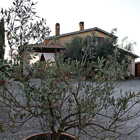 투스카니아 A Casa Di Amici B&B 외부 사진